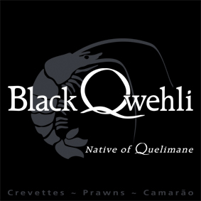 Design graphique — Blackqwehli logo