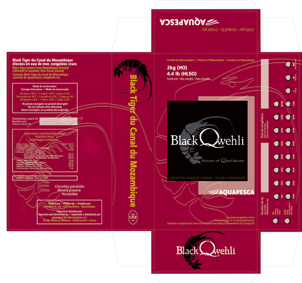 Design graphique — boite blackqwehli