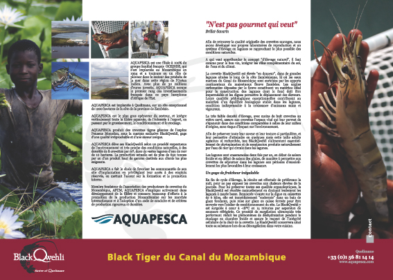 Design graphique — page aqua1