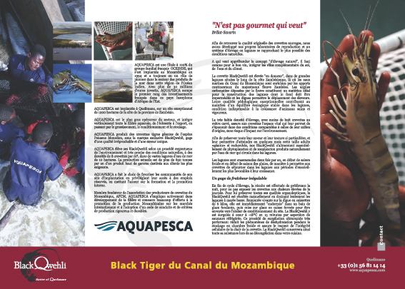 Design graphique — page aqua2
